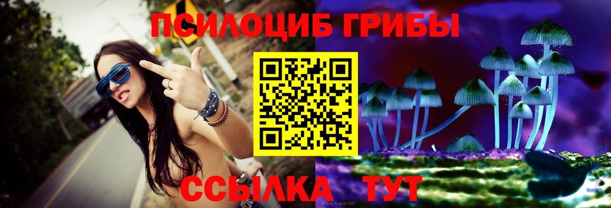 Псилоцибиновые грибы прущие грибы Рассказово