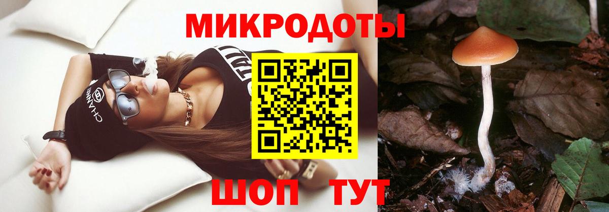 Галлюциногенные грибы мухоморы  Вход с VPN  Галлюциногенные грибы Psilocybe  Рассказово 